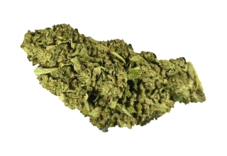 PINEAPPLE - (GLASSHOUSE) - Technické konopí - CANNABIS SATIVA L. INDUSTRIAL HEMP - k dalšímu zpracování - balení 20g