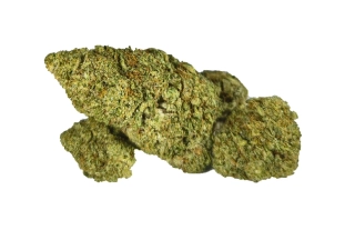 GHOST - (INDOOR) - Technické konopí - CANNABIS SATIVA L. INDUSTRIAL HEMP - k dalšímu zpracování