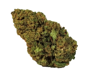 WHITE WIDOW - (GLASSHOUSE) - Technické konopí - CANNABIS SATIVA L. INDUSTRIAL HEMP - k dalšímu zpracování