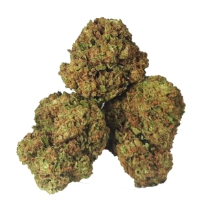 BANANA KUSH - (GLASSHOUSE) - Technické konopí - CANNABIS SATIVA L. INDUSTRIAL HEMP - k dalšímu zpracování